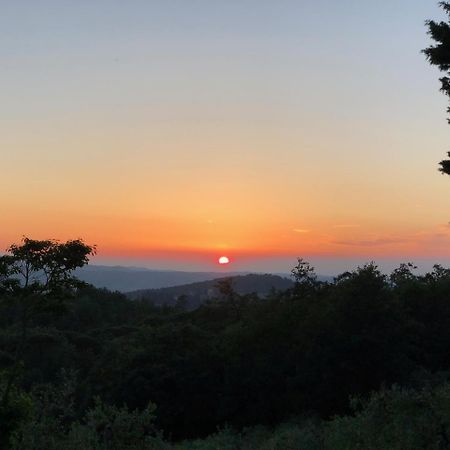 Poggio Al Sole Villa Badia A Passigano Bagian luar foto
